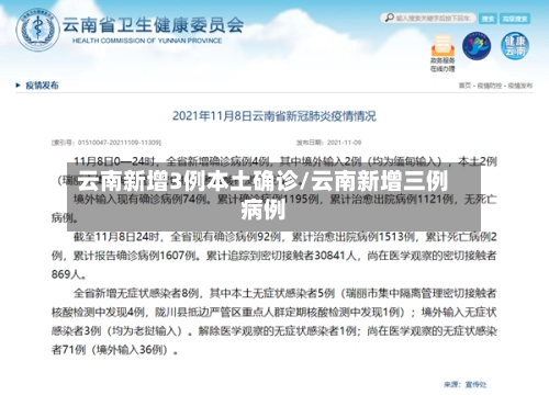 云南新增3例本土确诊/云南新增三例病例-第1张图片