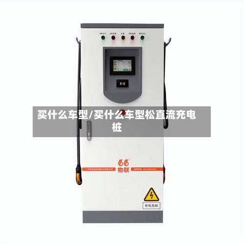 买什么车型/买什么车型松直流充电桩-第1张图片