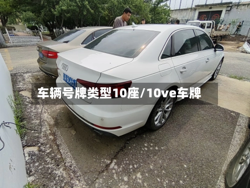 车辆号牌类型10座/10ve车牌-第1张图片