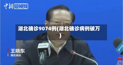 湖北确诊9074例(湖北确诊病例破万)-第1张图片