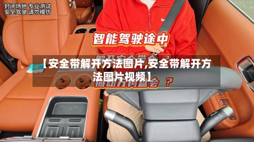 【安全带解开方法图片,安全带解开方法图片视频】-第1张图片