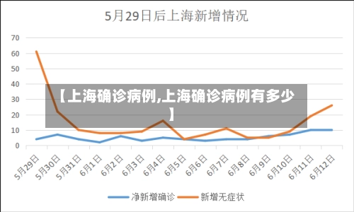 【上海确诊病例,上海确诊病例有多少】