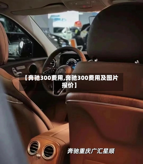 【奔驰300费用,奔驰300费用及图片 报价】-第2张图片