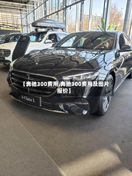 【奔驰300费用,奔驰300费用及图片 报价】-第1张图片