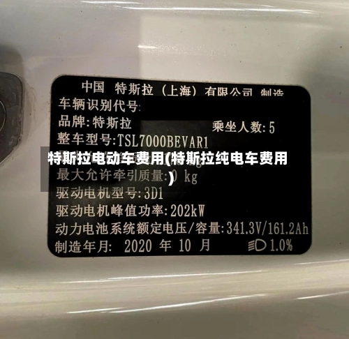 特斯拉电动车费用(特斯拉纯电车费用)-第1张图片