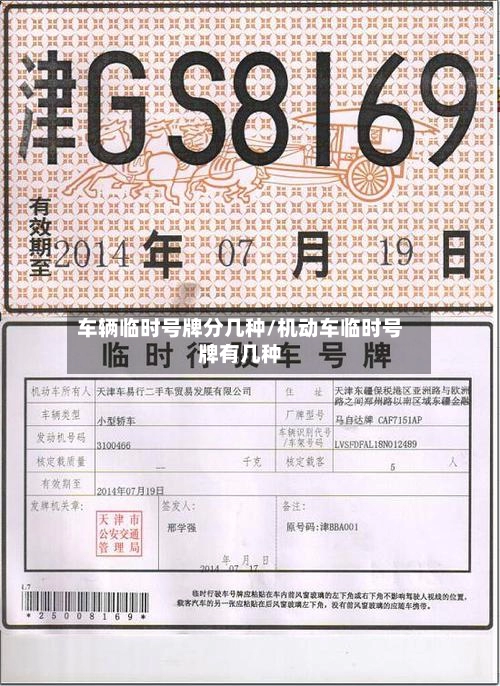 车辆临时号牌分几种/机动车临时号牌有几种-第1张图片