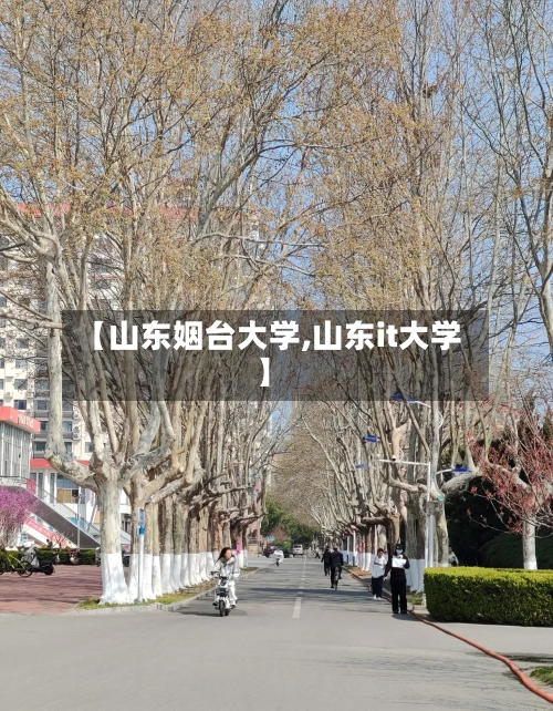 【山东姻台大学,山东it大学】-第1张图片
