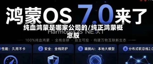纯血鸿蒙是哪家公司的/纯正鸿蒙概念股-第1张图片