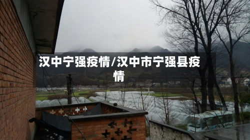 汉中宁强疫情/汉中市宁强县疫情-第1张图片