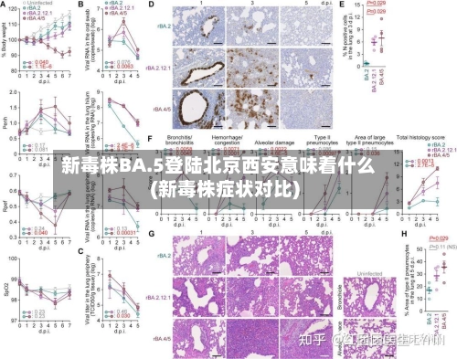 新毒株BA.5登陆北京西安意味着什么(新毒株症状对比)-第1张图片