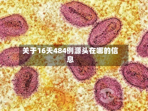 关于16天484例源头在哪的信息-第3张图片