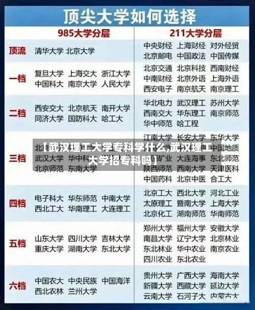 【武汉理工大学专科学什么,武汉理工大学招专科吗】-第1张图片