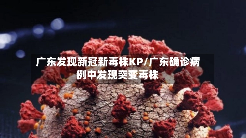 广东发现新冠新毒株KP/广东确诊病例中发现突变毒株-第1张图片