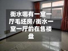 衡水哪有一室一厅毛坯房/衡水一室一厅的在售楼盘-第1张图片
