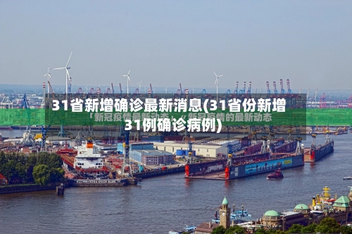 31省新增确诊最新消息(31省份新增31例确诊病例)-第3张图片