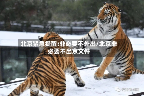 北京紧急提醒:非必要不外出/北京非必要不出京文件-第1张图片