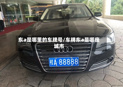 东a是哪里的车牌号/车牌东a是哪座城市-第1张图片