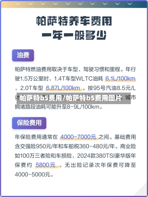 帕萨特b5费用/帕萨特b5费用图片-第3张图片