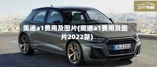奥迪a1费用及图片(奥迪a1费用及图片2022款)-第2张图片