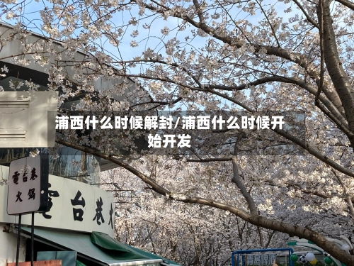 浦西什么时候解封/浦西什么时候开始开发-第2张图片
