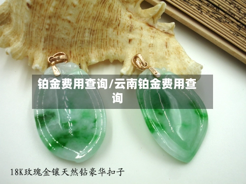 铂金费用查询/云南铂金费用查询-第1张图片