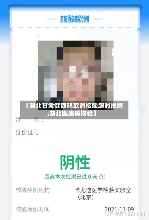 【湖北甘肃健康码取消核酸超时提醒,湖北健康码核验】-第3张图片