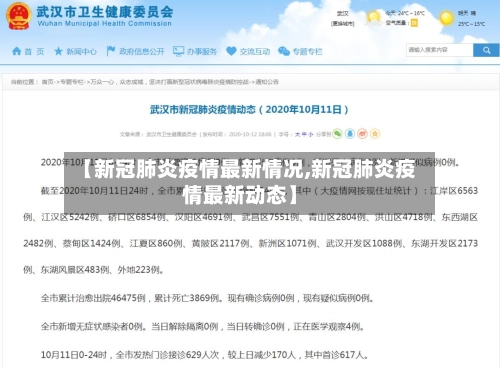 【新冠肺炎疫情最新情况,新冠肺炎疫情最新动态】-第2张图片