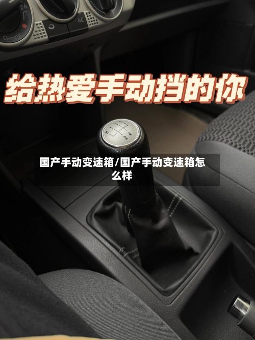 国产手动变速箱/国产手动变速箱怎么样-第2张图片