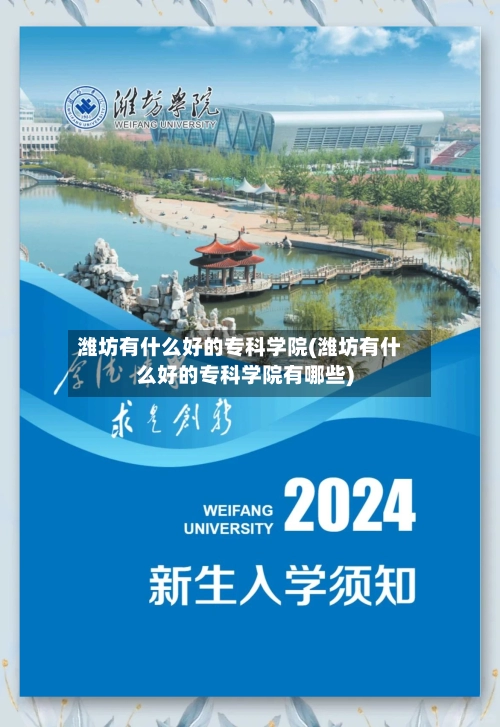 潍坊有什么好的专科学院(潍坊有什么好的专科学院有哪些)-第1张图片