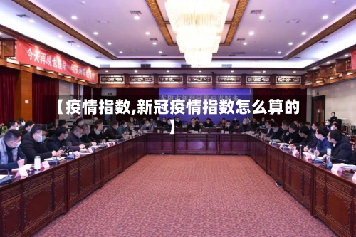 【疫情指数,新冠疫情指数怎么算的】-第1张图片