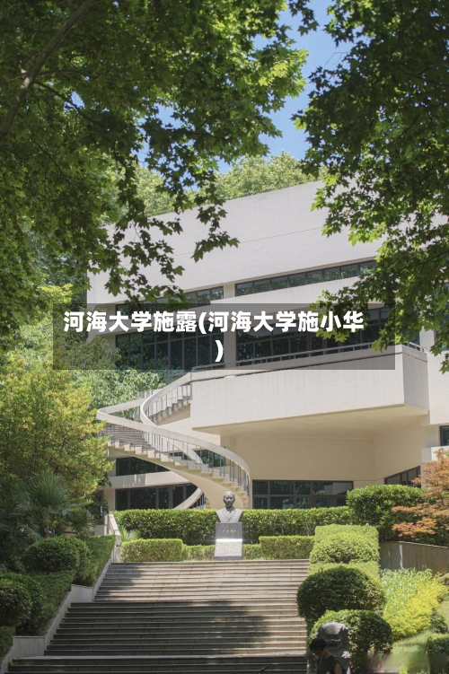 河海大学施露(河海大学施小华)-第2张图片