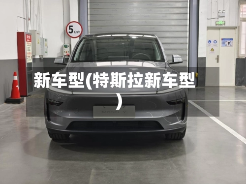 新车型(特斯拉新车型)-第1张图片