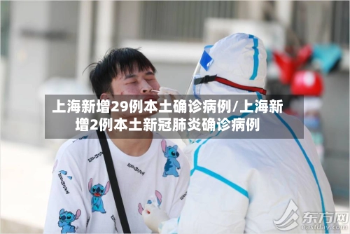 上海新增29例本土确诊病例/上海新增2例本土新冠肺炎确诊病例-第1张图片