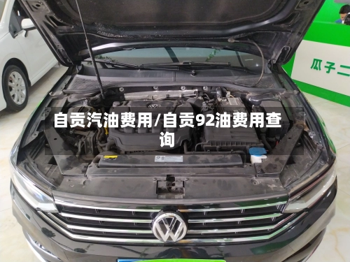 自贡汽油费用/自贡92油费用查询-第1张图片