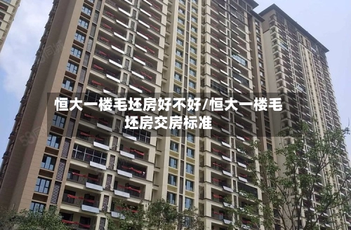 恒大一楼毛坯房好不好/恒大一楼毛坯房交房标准-第2张图片