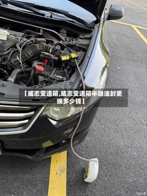 【威志变速箱,威志变速箱半轴油封更换多少钱】-第1张图片
