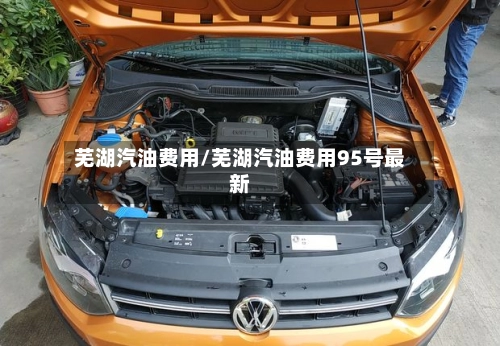 芜湖汽油费用/芜湖汽油费用95号最新-第1张图片