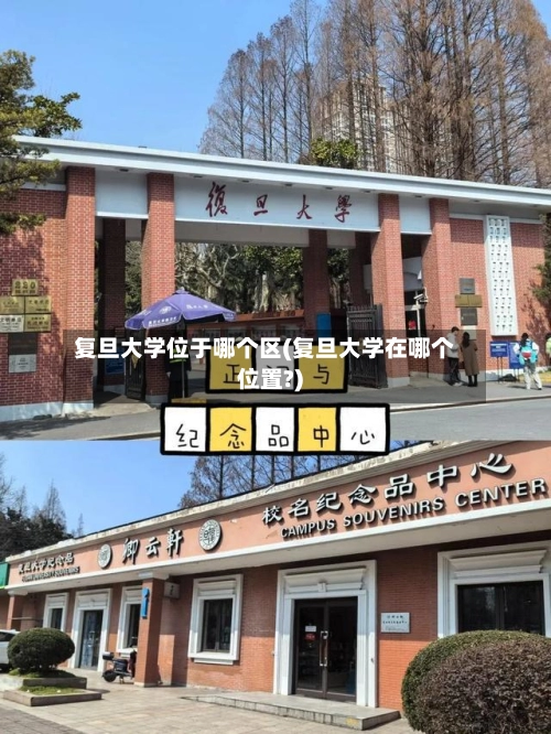 复旦大学位于哪个区(复旦大学在哪个位置?)-第1张图片