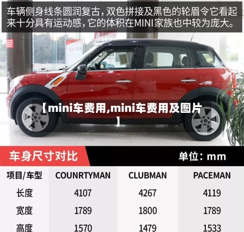 【mini车费用,mini车费用及图片】-第3张图片