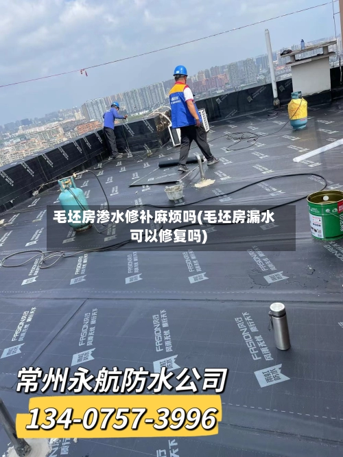 毛坯房渗水修补麻烦吗(毛坯房漏水可以修复吗)-第1张图片
