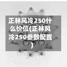 正林风冷250什么价位(正林风冷250参数配置)-第1张图片