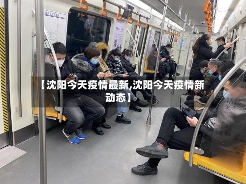 【沈阳今天疫情最新,沈阳今天疫情新动态】-第2张图片