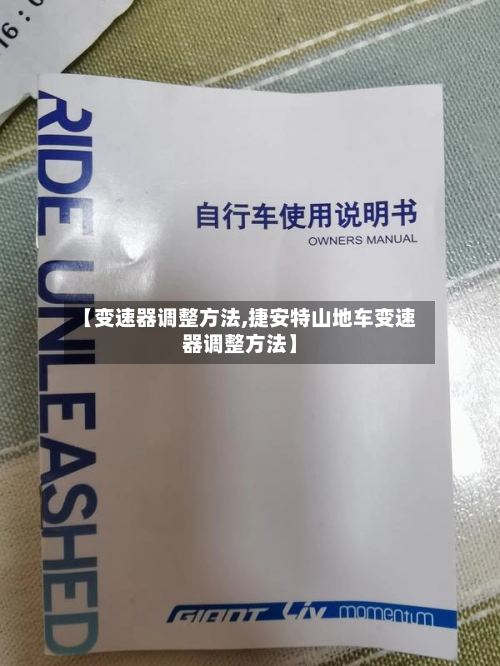 【变速器调整方法,捷安特山地车变速器调整方法】-第2张图片