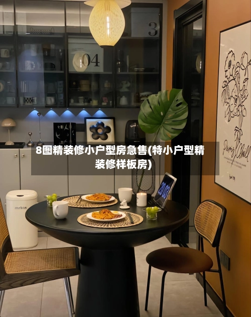 8图精装修小户型房急售(特小户型精装修样板房)-第1张图片