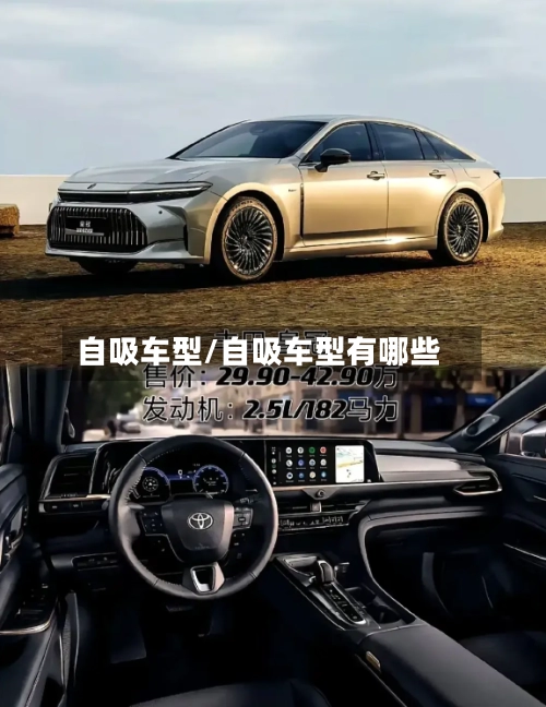 自吸车型/自吸车型有哪些-第1张图片