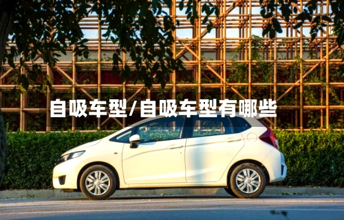 自吸车型/自吸车型有哪些-第3张图片