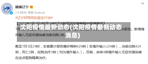 沈阳疫情最新动态(沈阳疫情最新动态消息)-第1张图片