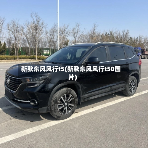 新款东风风行t5(新款东风风行t50图片)-第1张图片