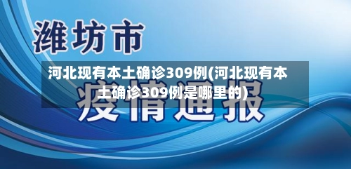 河北现有本土确诊309例(河北现有本土确诊309例是哪里的)-第3张图片