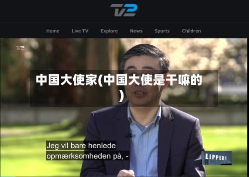 中国大使家(中国大使是干嘛的)-第2张图片